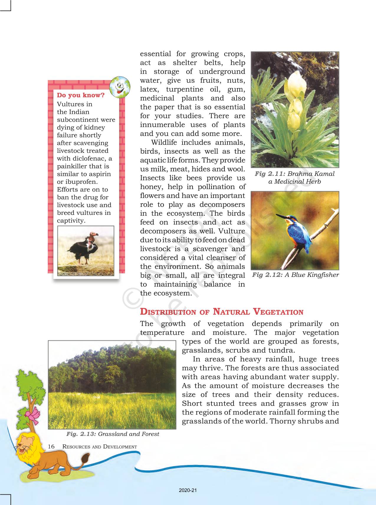 Land Soil Water Natural Vegetation And Wildlife Resources - NCERT Book ...